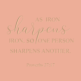 As iron sharpens iron, so one person sharpens another. -  Proverbs 27:17