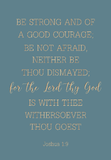 Be strong and of a good courage - Joshua 1:9