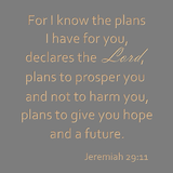 For I know the plans I have for you- Jeremiah 29:11