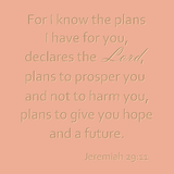 For I know the plans I have for you- Jeremiah 29:11