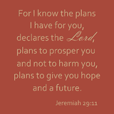 For I know the plans I have for you- Jeremiah 29:11