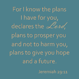 For I know the plans I have for you- Jeremiah 29:11