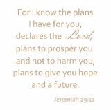For I know the plans I have for you- Jeremiah 29:11