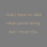 God, I have no idea what you're doing, but I trust You.