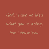 God, I have no idea what you're doing, but I trust You.