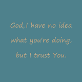 God, I have no idea what you're doing, but I trust You.