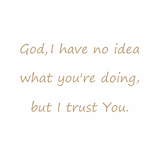 God, I have no idea what you're doing, but I trust You.