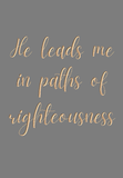 He leads me in paths of righteousness