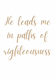 He leads me in paths of righteousness