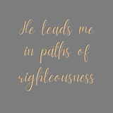 He leads me in paths of righteousness