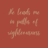 He leads me in paths of righteousness