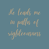 He leads me in paths of righteousness