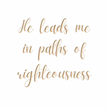 He leads me in paths of righteousness