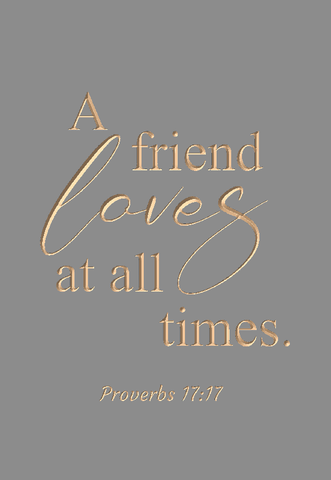 A friend loves at all times - Proverbs 17:17