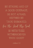 Be strong and of a good courage - Joshua 1:9