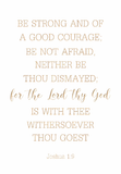 Be strong and of a good courage - Joshua 1:9