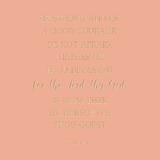 Be strong and of a good courage - Joshua 1:9