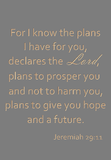 For I know the plans I have for you- Jeremiah 29:11