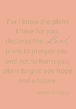 For I know the plans I have for you- Jeremiah 29:11