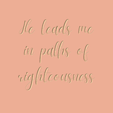 He leads me in paths of righteousness